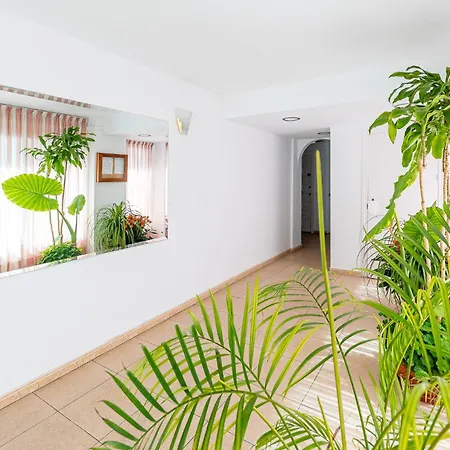 Apartment 797 - In Close To
